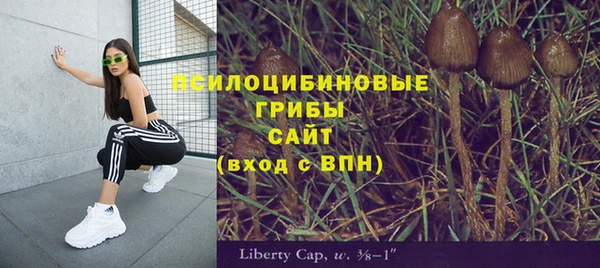 эйфоретик Армянск