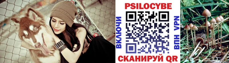 Псилоцибиновые грибы мицелий omg ссылки Учалы закладка